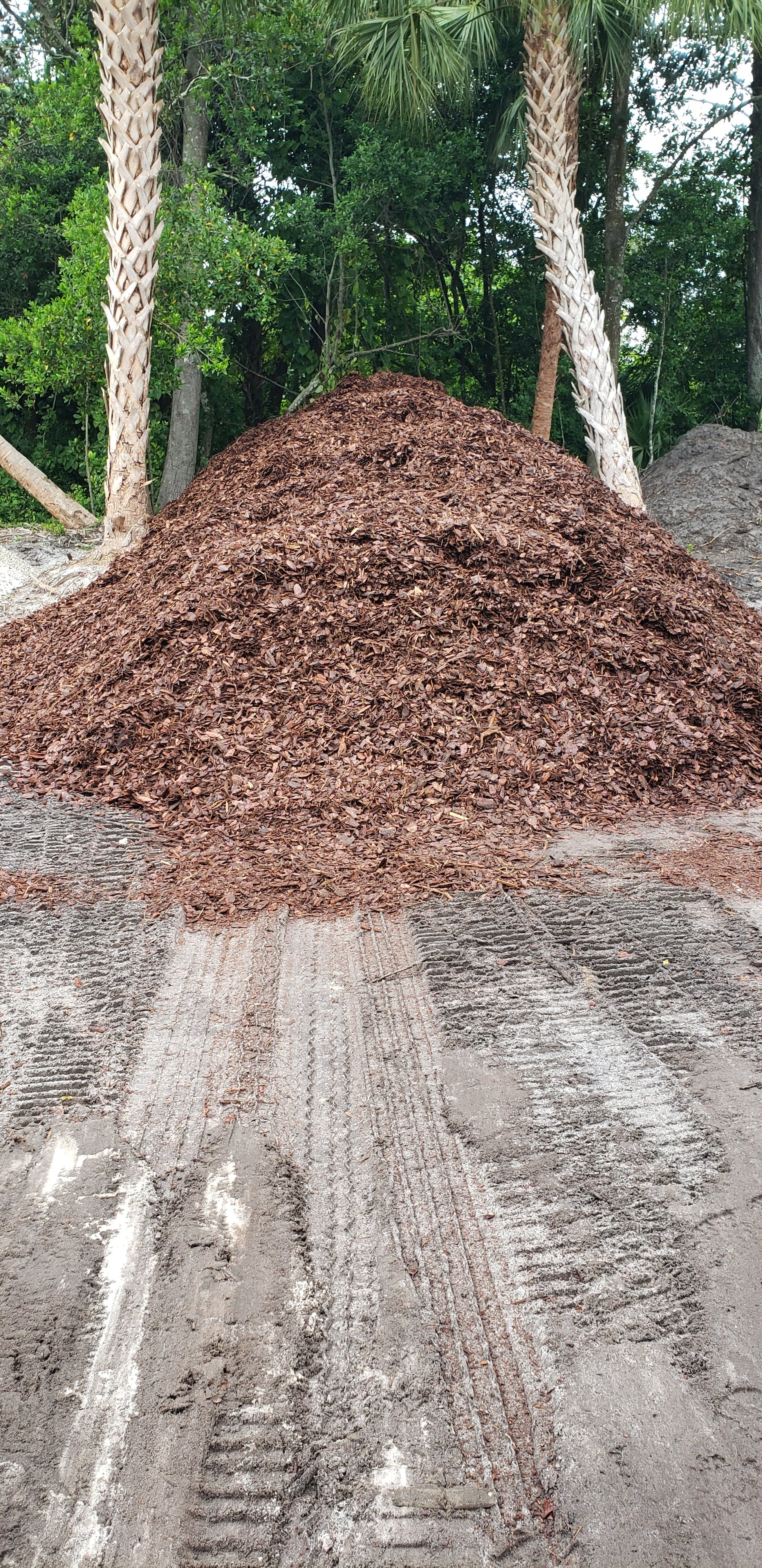 pine-bark-mulch-smart-choice-premium-pine-bark