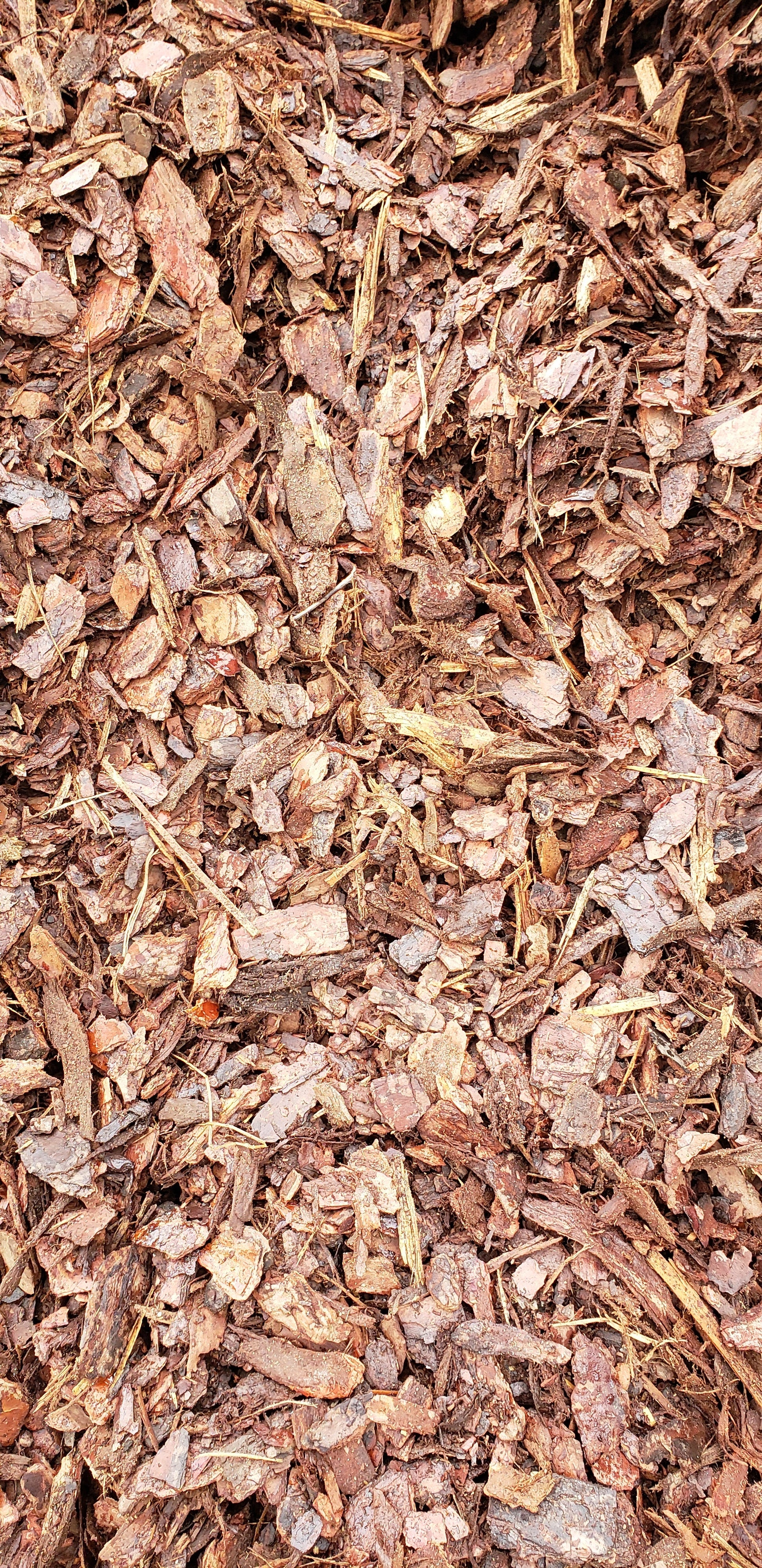pine-bark-mulch-smart-choice-premium-pine-bark