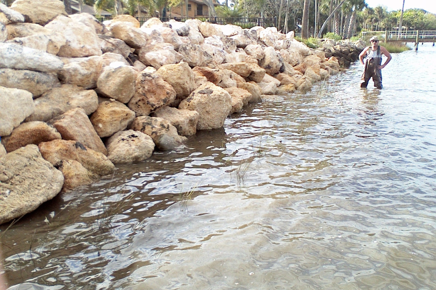Coquina Rock - Bulk a unique and versatile material that infuses any