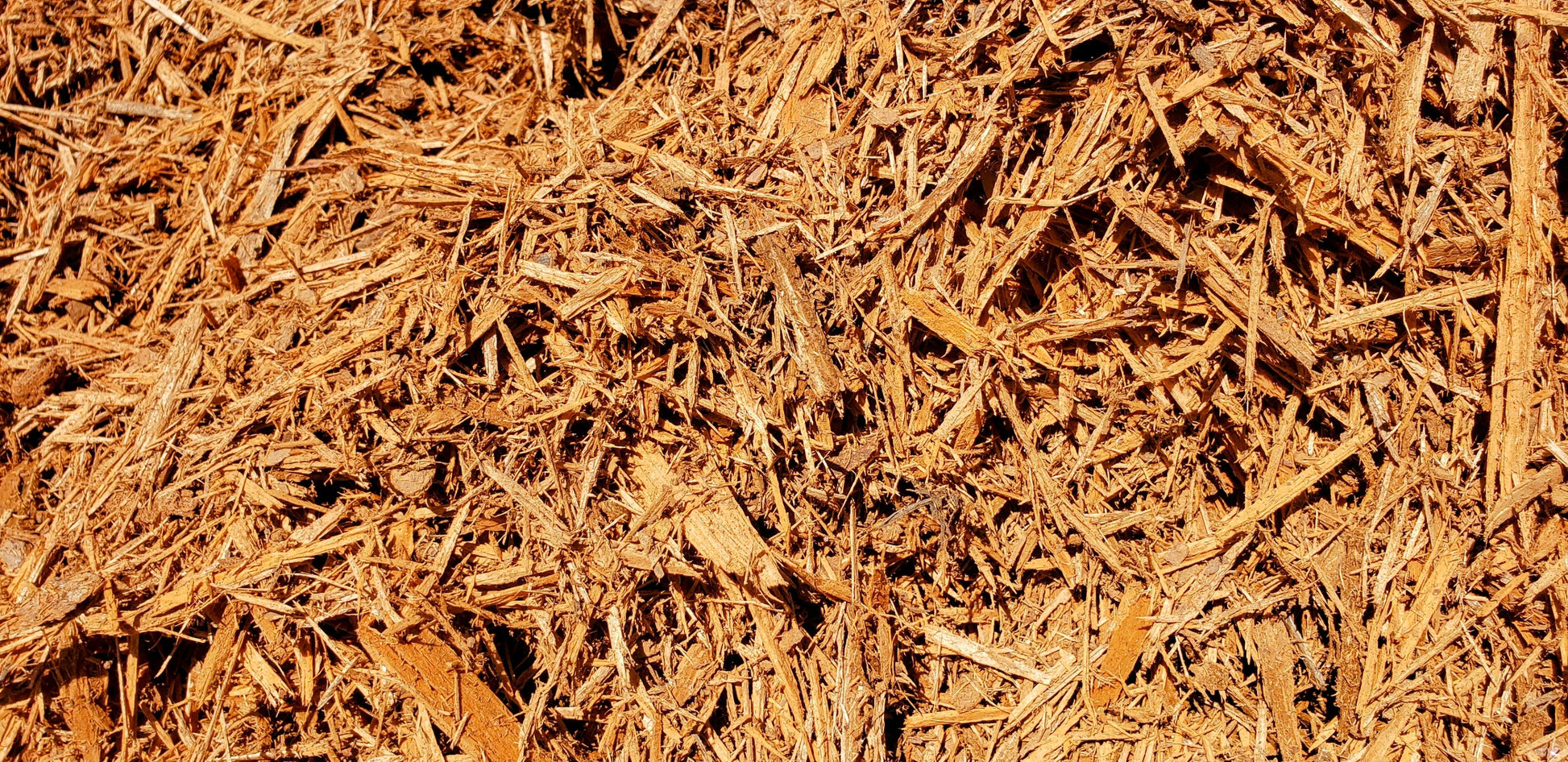 Gold Mulch - Smart Choice Premium Southern Pine gold colored mulch and