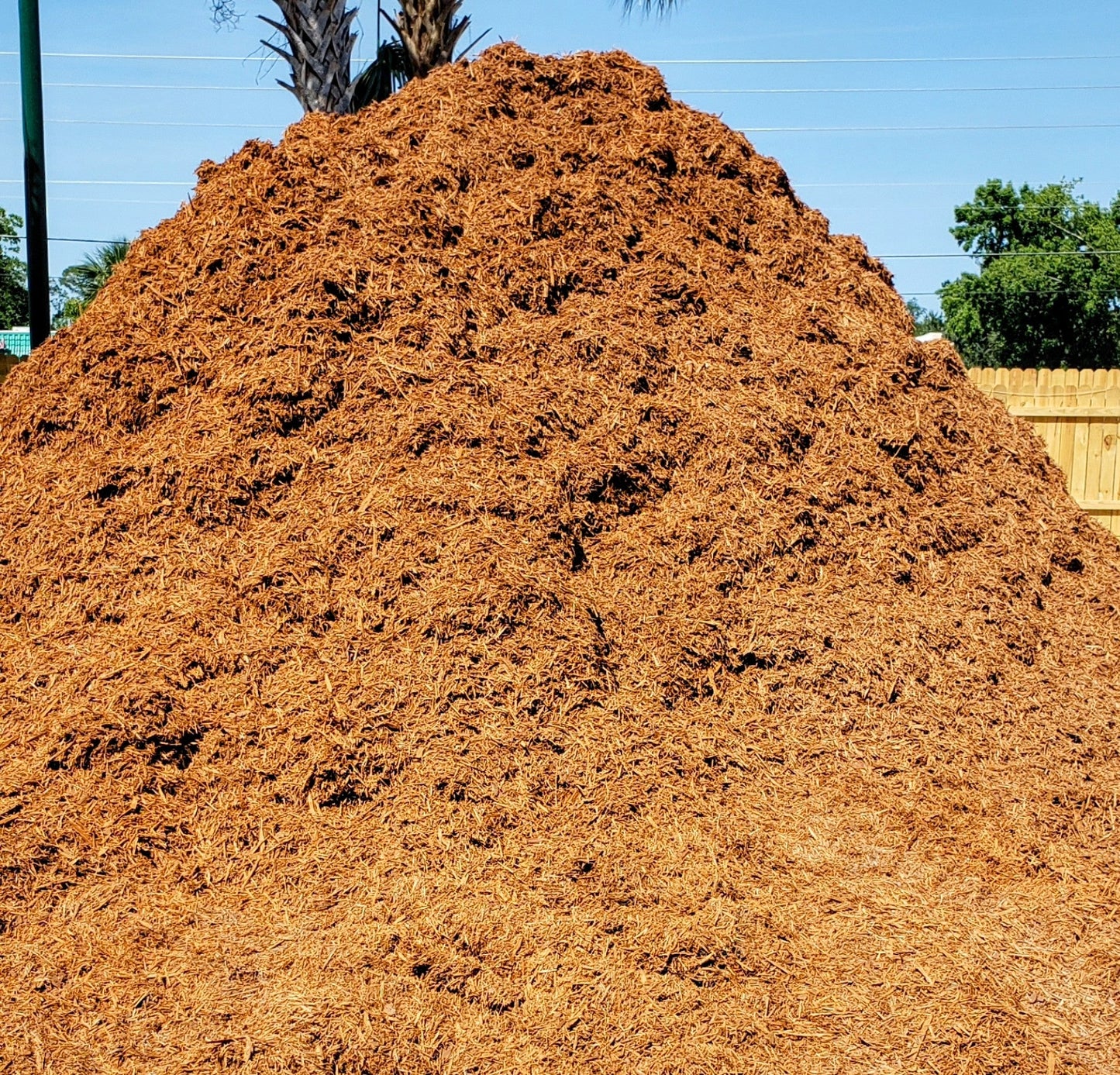 Large bulk pile of premium gold mulch for landscaping, gardens, and flower beds at Mulch and Stuff in Ormond Beach.
