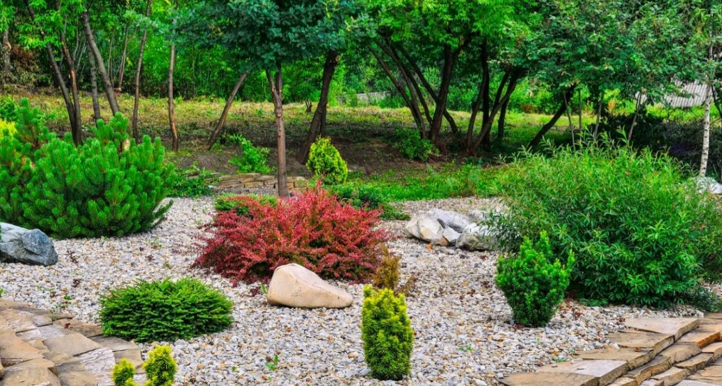 Deciding What the Best Landscaping Rocks Are