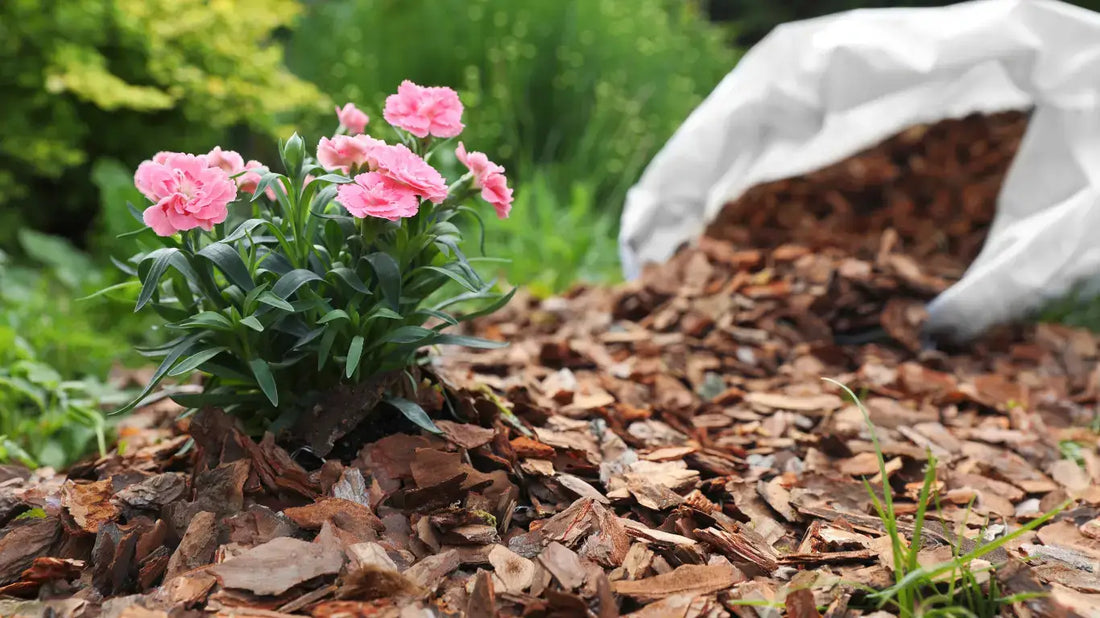 Bulk vs. Bagged Mulch: Why Mulch and Stuff is Your Best Choice