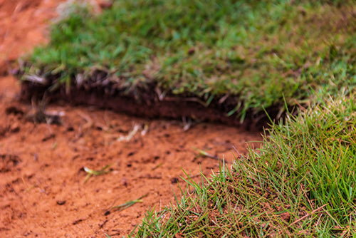 Red Sand and Topsoil Guide: Boost St. Augustine Grass Growth in Volusia & Flagler Counties