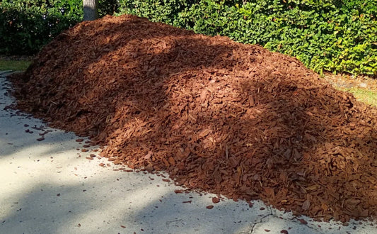 Bulk mulch pile on a driveway surface with natural daylight.