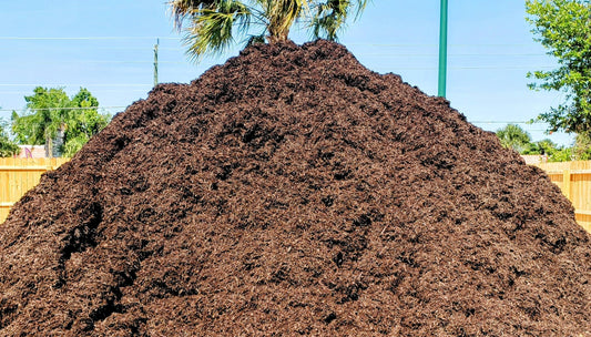 Close-up of Premium Brown Chocolate Mulch showing rich color and fine texture for landscaping, gardens, flower beds, and pathways from Mulch and Stuff