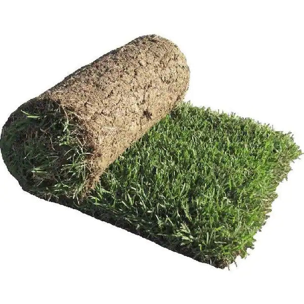 Sod - St. Augustine - Smart Choice Premium Floratam™