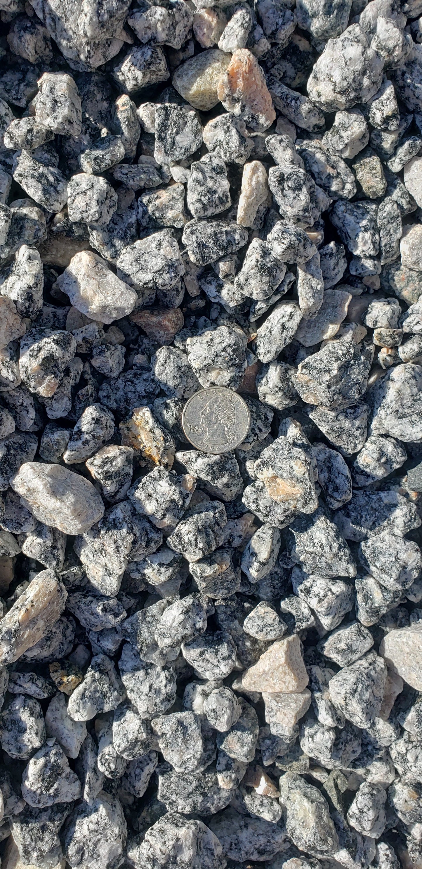 Grey Granite "Salt and Pepper" Stone 1-Inch (±) | Premium Landscaping Rock