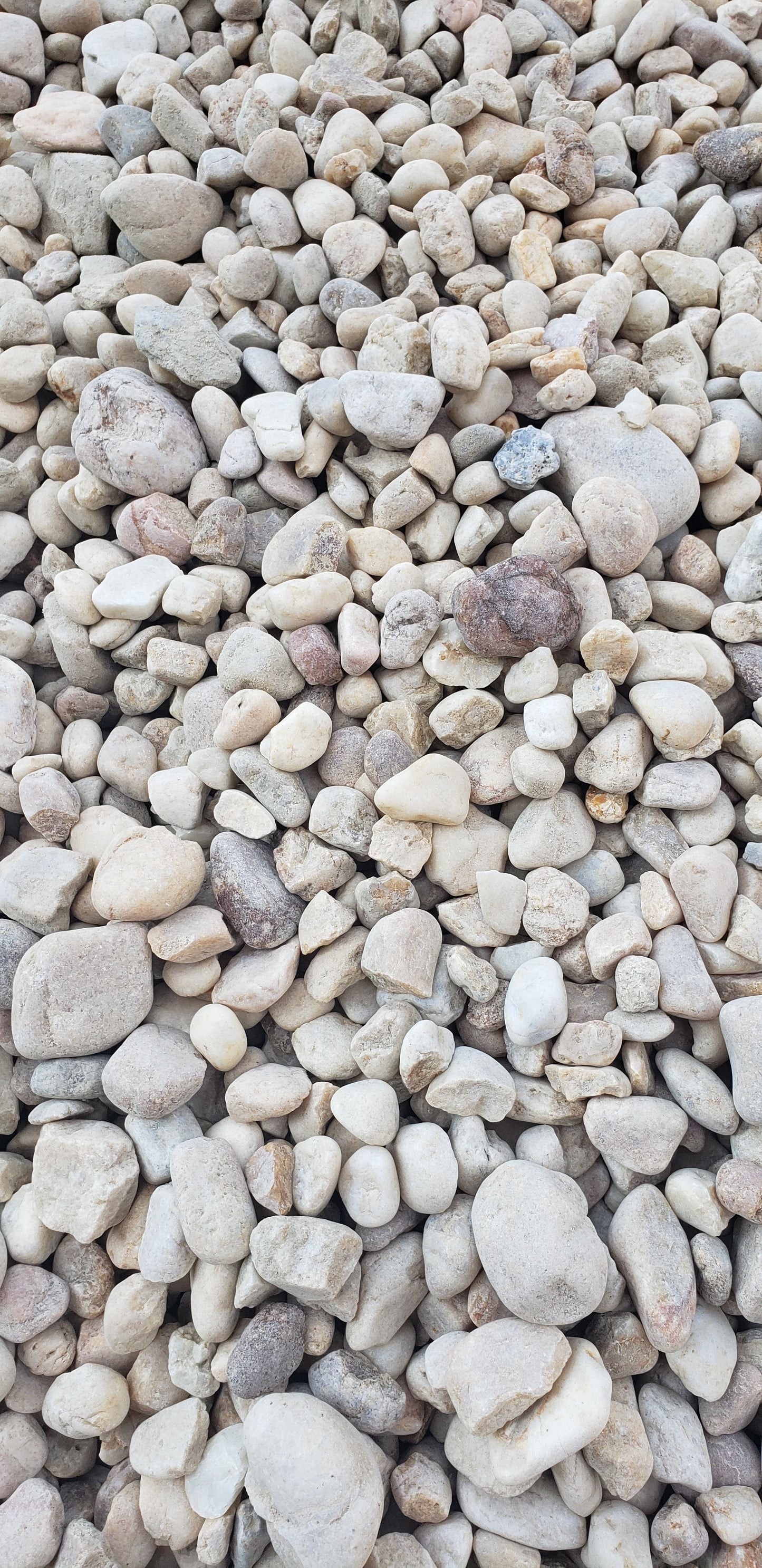 Bulk White River Rock 1" to 1.5" pile for landscaping, gardens, flower beds, and pathways, clean and high-quality material from Mulch and Stuff