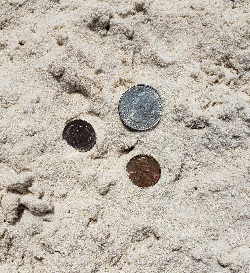 Close-up of premium white coarse sand showing grain texture and quality for construction, masonry, drainage, and landscaping applications